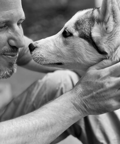 assets/images/8/roman%20husky_1-4a3c206c.jpg