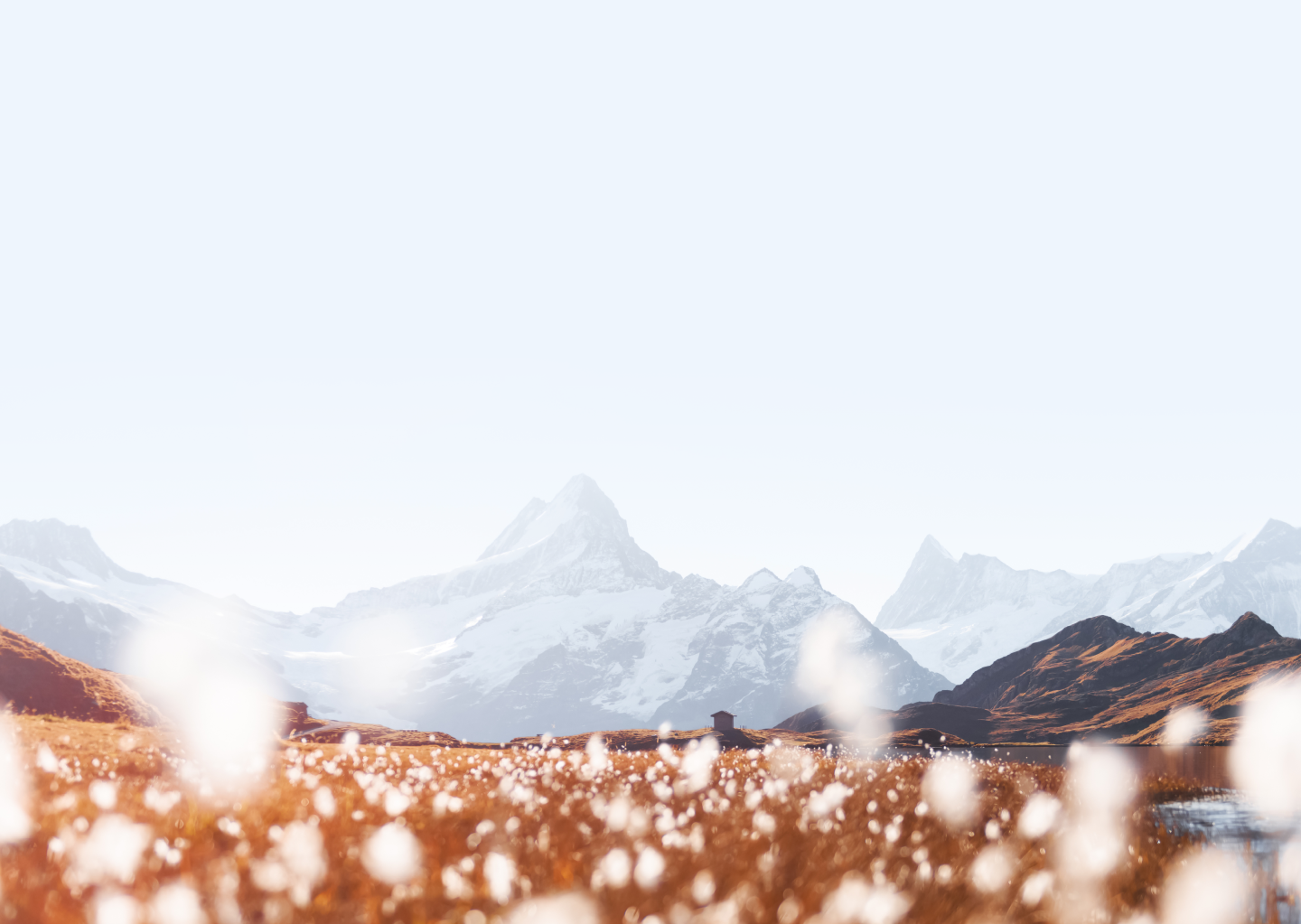 /assets/images/d/Group%2019-ccejev6gdm1ev7g.png